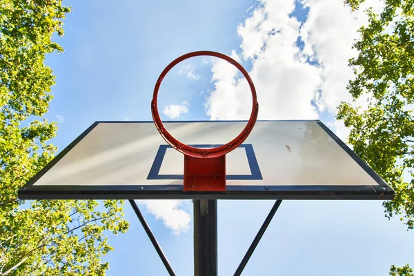 아름다운 농구공 바구니 — 스톡 사진