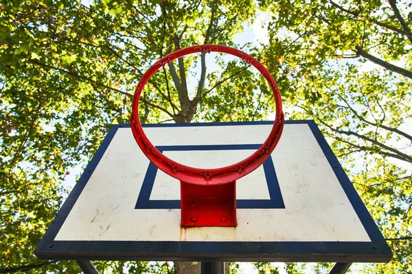 Mooie Basketbal Mand Afbeelding — Stockfoto