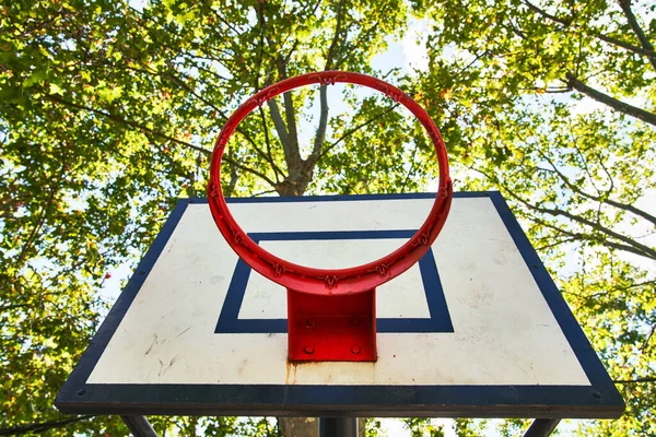 Imagem Bela Cesta Basquete — Fotografia de Stock