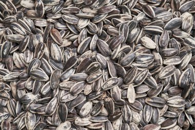 Güzel ayçekirdeği görüntüsü