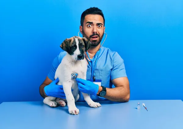 Красивый Латиноамериканец Ветеринар Бородой Проверяющий Здоровье Собаки Используя Стетоскоп Шоковом — стоковое фото