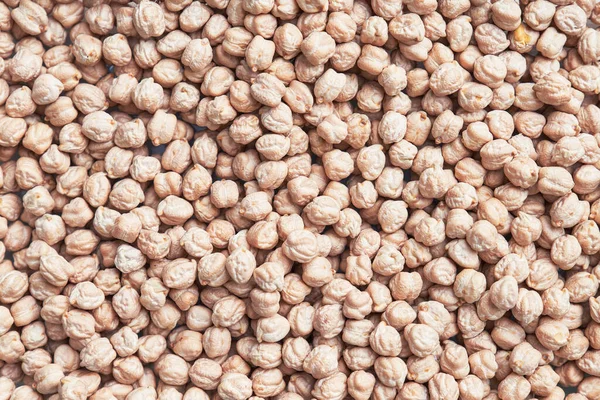 Garbanzos Naturales Crudos Legumbres Frescas Cerca — Foto de Stock