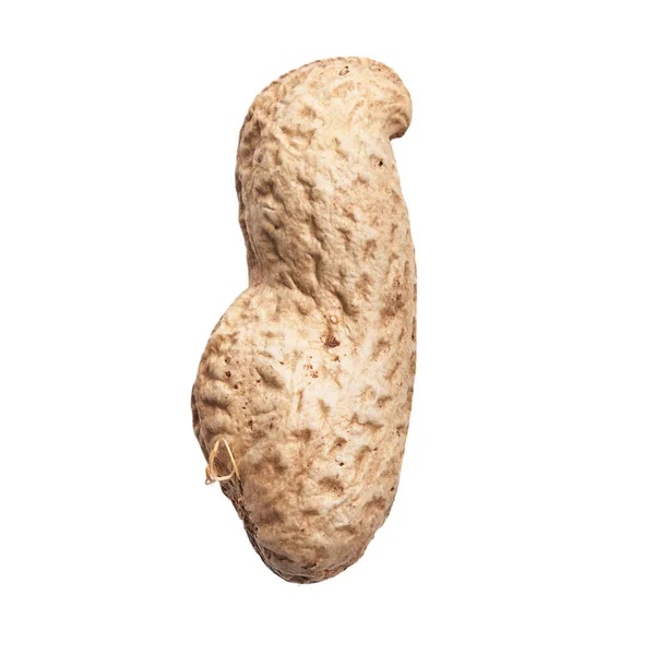 Einzelne Erdnuss Mit Schale Isoliert Auf Weißem Hintergrund — Stockfoto