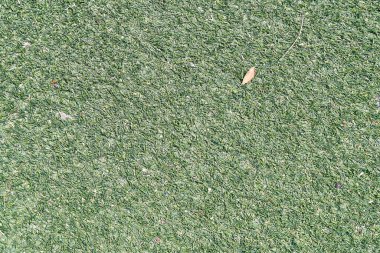 Güzel çimen desenli resim