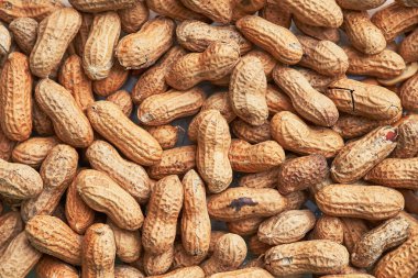 Sağlıklı kavrulmuş soyulmamış fıstık. Kahverengi fındık dokusu