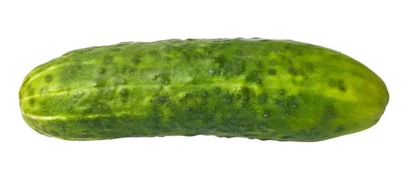 Één Komkommer Geïsoleerd Een Witte Achtergrond — Stockfoto