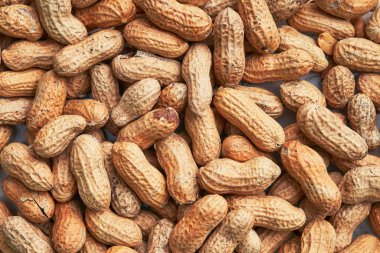 Sağlıklı kavrulmuş soyulmamış fıstık. Kahverengi fındık dokusu