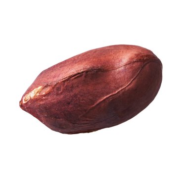  Beyaz arka planda izole edilmiş tek bir fıstık.