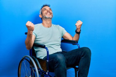 Handsome middle age man with grey hair sitting on wheelchair very happy and excited doing winner gesture with arms raised, smiling and screaming for success. celebration concept. 