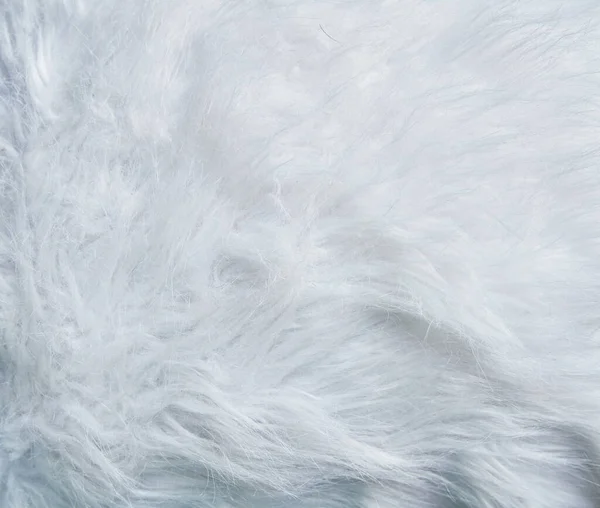 美しい毛皮のテクスチャ画像 — ストック写真