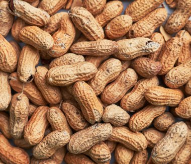 Sağlıklı kavrulmuş soyulmamış fıstık. Kahverengi fındık dokusu