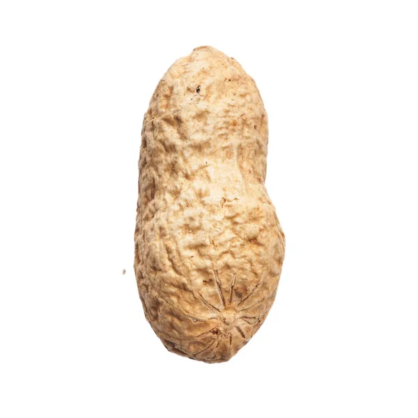 Single Peanut Shell Isolated White Background — Stock Photo, Image