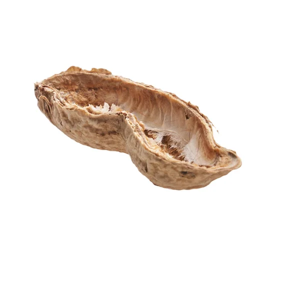 Casca Amendoim Médio Isolado Fundo Branco — Fotografia de Stock