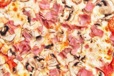  Tek kişilik prosciutto ve funghi italyan pizzası.