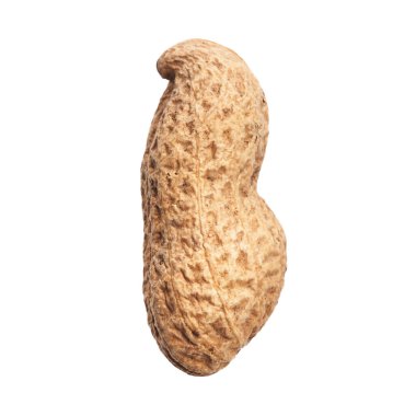  Beyaz arka planda kabuklu tek bir fıstık.