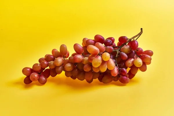 Druiven Gele Achtergrond — Stockfoto