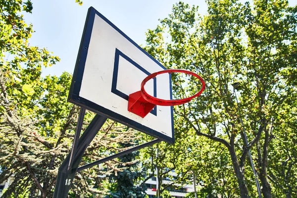 아름다운 농구공 바구니 — 스톡 사진