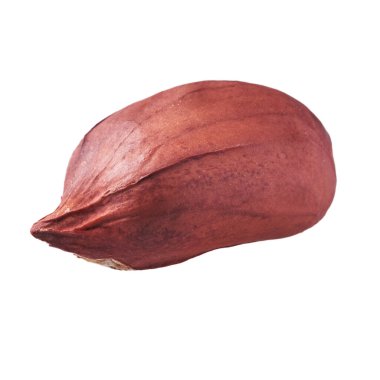  Beyaz arka planda izole edilmiş tek bir fıstık.