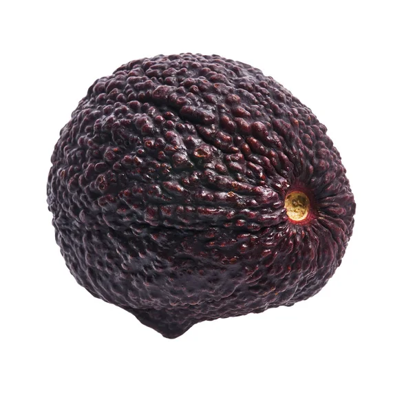 Single Abacate Frutas Isoladas Sobre Fundo Branco — Fotografia de Stock