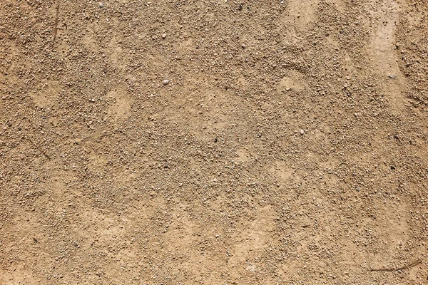 Closeup Arid Ground Texture — Stock Photo, Image