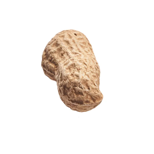 Single Peanut Shell Isolated White Background — Stock Photo, Image