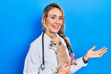 Young blonde veterinarian woman wearing uniform and stethoscope holding small chihuhua with love