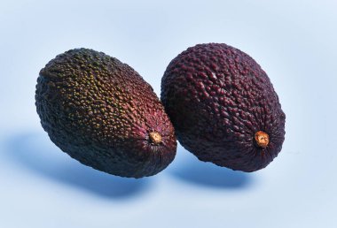  Two avocados fruit over blue background