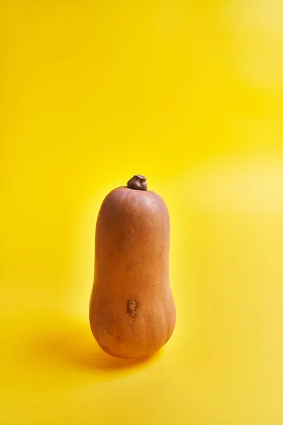 Single Pumpkin Yellow Background — Stock Photo, Image
