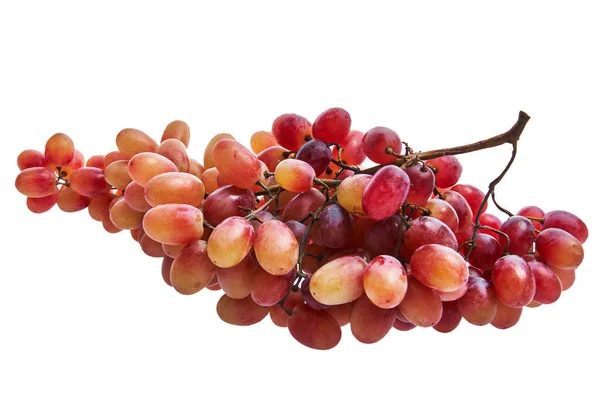 Ramo Uvas Aisladas Sobre Fondo Blanco — Foto de Stock