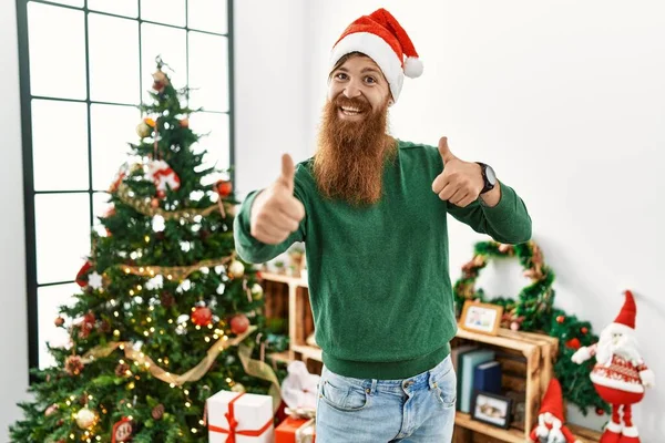 Redhead Man Long Beard Wearing Christmas Hat Christmas Tree Approving — Stockfoto
