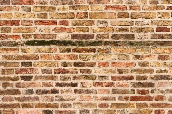 Decay Brick Wall Surface Background — Stock Photo, Image