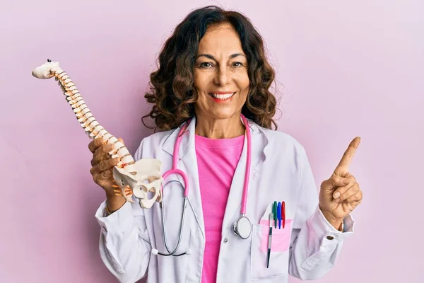 Middle Age Hispanic Doctor Woman Holding Anatomical Model Spinal Column — Stock fotografie