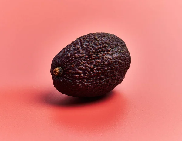 Single Avocado Fruit Rode Achtergrond — Stockfoto