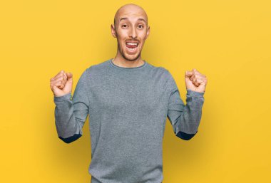 Bald man with beard wearing casual clothes celebrating surprised and amazed for success with arms raised and open eyes. winner concept. 
