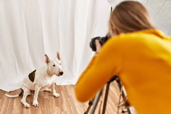 Young Caucasian Woman Photographer Making Photo Dog Photography Studio — Φωτογραφία Αρχείου