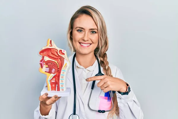 Beautiful Young Blonde Woman Holding Anatomical Model Respiratory System Smiling — Photo
