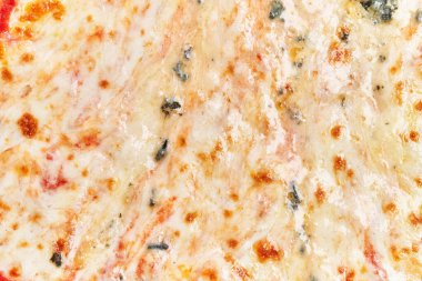  Dört peynirli İtalyan pizzası.