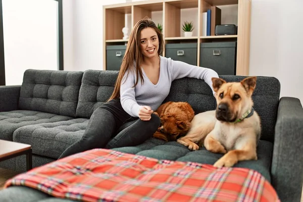 Jovem Hispânica Sorrindo Confiante Sentado Sofá Com Cães Casa — Fotografia de Stock