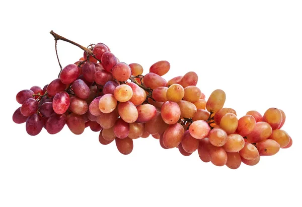 Ramo Uvas Aisladas Sobre Fondo Blanco — Foto de Stock