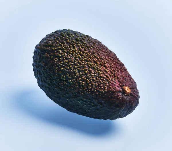Single Avocado Fruit Blauwe Achtergrond — Stockfoto