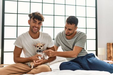 İki İspanyol erkek yatak odasında Chihuahua ile yatakta oturuyor.