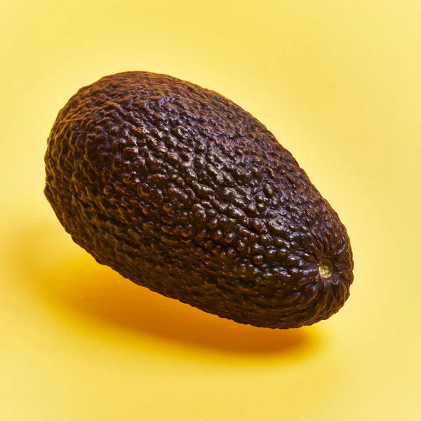 Single Avocado Frutta Sfondo Giallo — Foto Stock