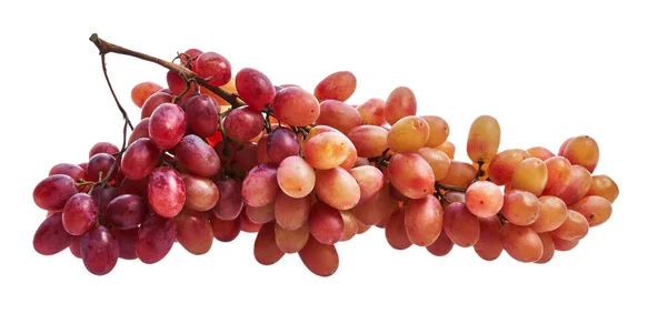 Tros Druiven Geïsoleerd Witte Achtergrond — Stockfoto