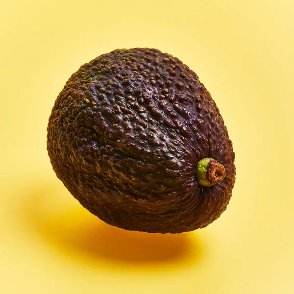 Single Avokado Frukt Över Gul Bakgrund — Stockfoto