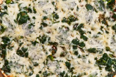  Tek ıspanaklı italyan pizzası.