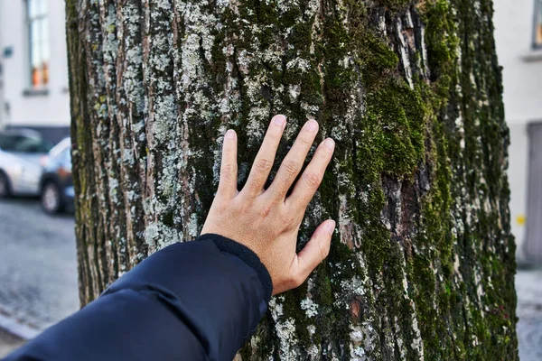 Mann Streift Baum Park — Stockfoto