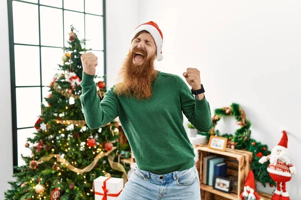 Redhead Man Med Långt Skägg Bär Jul Hatt Julgran Mycket — Stockfoto