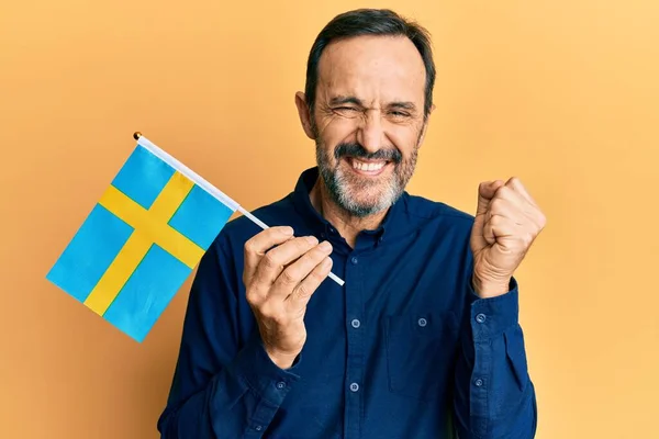 Hispanischer Mann Mittleren Alters Hält Schwedenfahne Und Schreit Stolz Feiert — Stockfoto