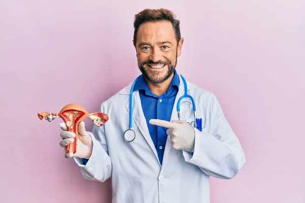Orta Yaşlı Bir Jinekolog Kadın Cinsel Organının Anatomik Modelini Tutuyor — Stok fotoğraf