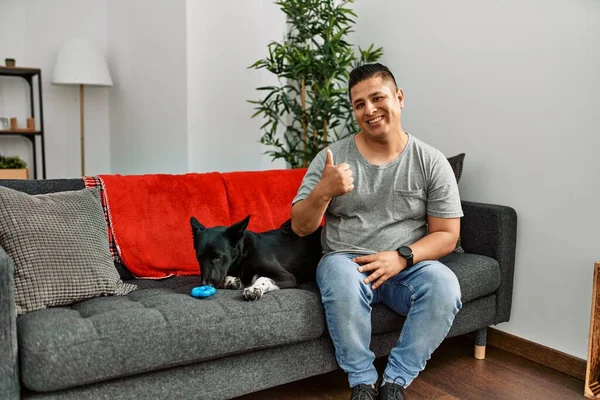Jovem Latino Homem Cão Sentado Sofá Casa Fazendo Polegares Felizes — Fotografia de Stock
